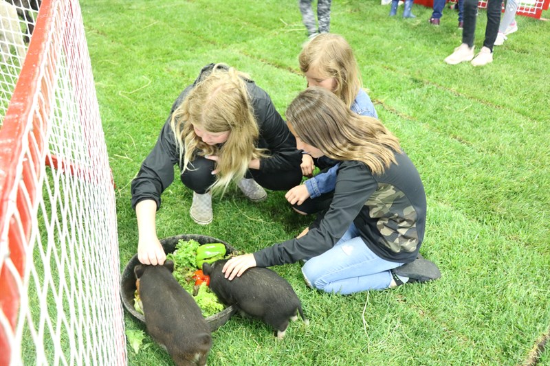 Blackfalds Days - Servus Kids Zone