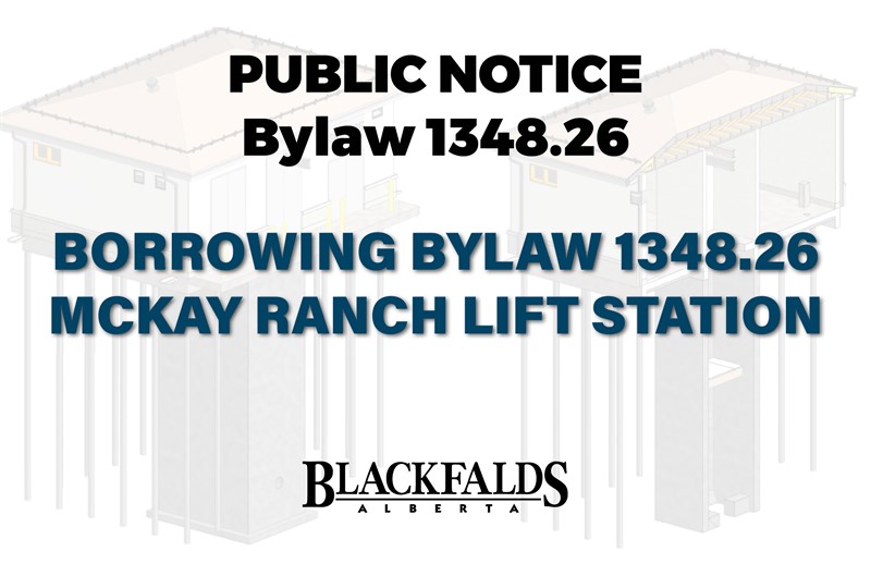 Borrowing Bylaw Public Notice