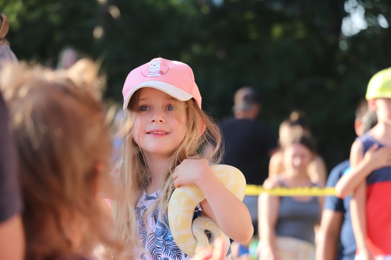 Summer Culture Series: Blackfalds Zoo